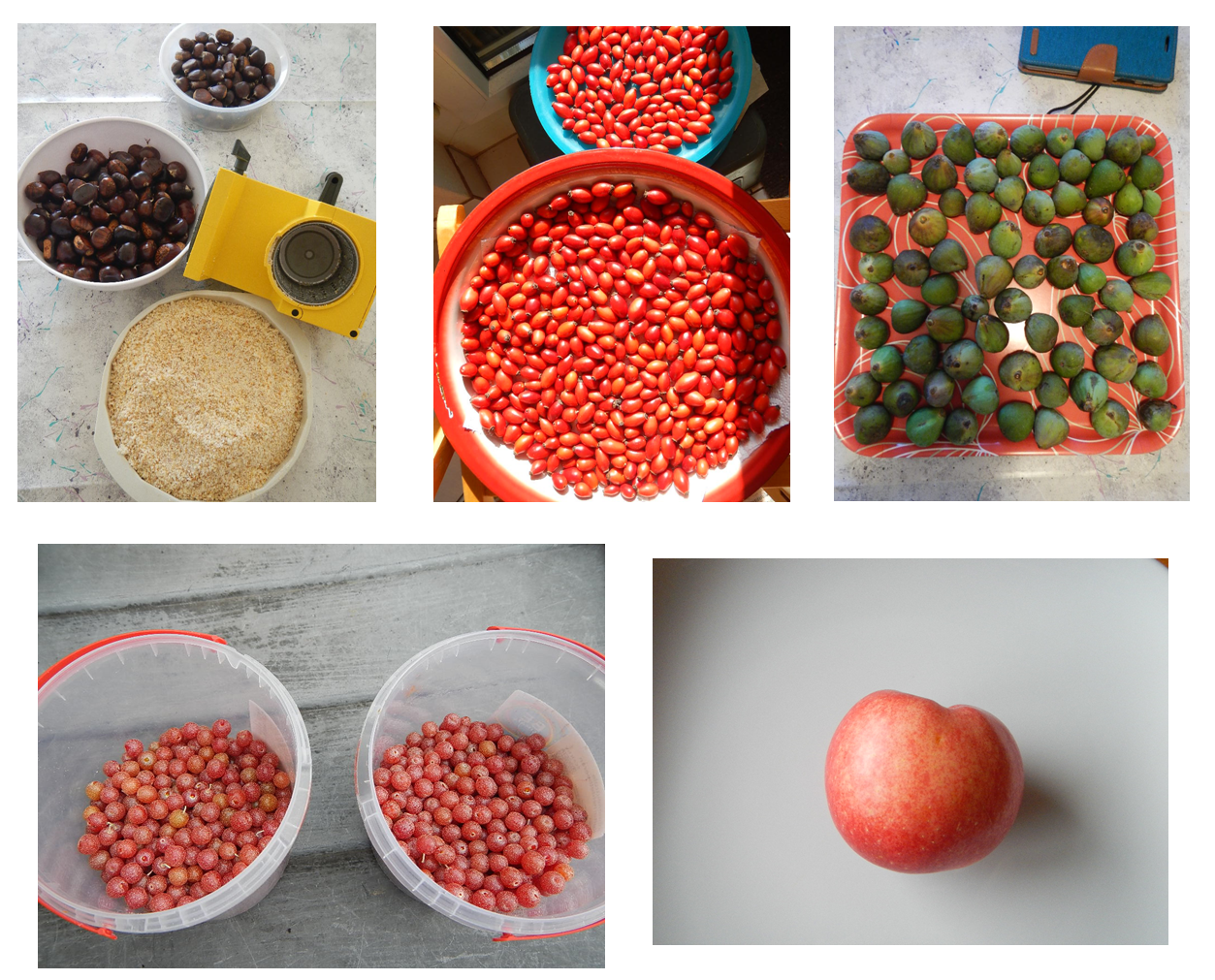 autumn goodies